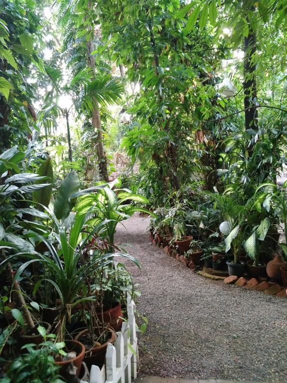 Green Woods Bethlehem Kochi Dış mekan fotoğraf