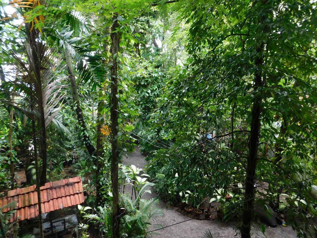 Green Woods Bethlehem Kochi Dış mekan fotoğraf
